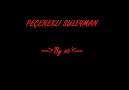 Peçenekli süleyman -By o6- atamın seymeneri [HQ]