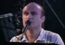 Phil Collins - Another Day In Paradise (Live)