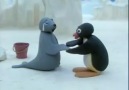 Pingu balık tutuyor  ruk's