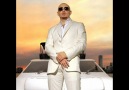 Pitbull - Hotel Room