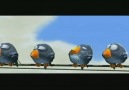 PiXaR FoR The BiRDS (Kısa Film) [HQ]