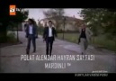 POLAT Ve Ekibi Şamire Operasyon Mardinli™