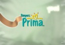 Prima Premium Care [HQ]