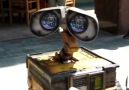 REAL Wall-E? [HQ]