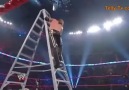 Rey Mysterio Vs Del Rio Vs Edge Vs Kane  - TLC 2010 [HQ]