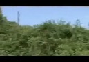 Ârif Nâzım - Hesap (Deli Dumrul Film Müziği)