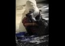 ROJDA (CEYLAN) ANISINA PAYLAŞALIM [HQ]