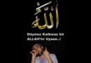 Sago & Kolo'nun ALLAH'I ZİKR.İ - [  İZLE - İZLETTİR  ] [HQ]