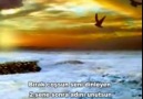 Sagopa Kajmer ft. MT - Tek Kanatlı Kuş [Paylaş!]