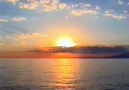 SALİH DİLOVAN-SEBRAMIN