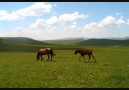 Şamil Ardahan  Facebook  3 Ardahan  3  [HQ]