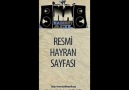 Sansar Salvo ft. Fuat Ergin & Rise & Neşternino - Çakrayı Aç [HQ]
