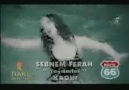 Şebnem Ferah - Yağmurlar