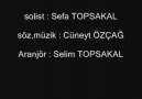 Sefa Topsakal - Vicdansızım