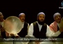 Semerkand Tv - Grup Harran - Ya Mevla [HQ]