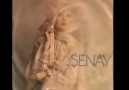 Şenay - Hayat Bayram Olsa Orjinal Plak Kayıt