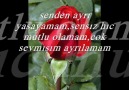 ***SENDEN AYRI YAŞIYAMAM YA RASUL *** [HQ]