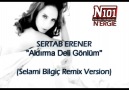 Sertab Erener - Aldırma Deli Gönlüm (SELAMI BILGIC REMIX) [HQ]