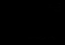 SERTAB ERENER - 'KOPARILAN ÇIÇEKLER'
