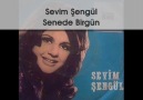 SEVİM ŞENGÜL - Senede Bir Gün