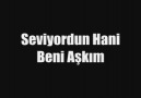 Seviyordun Hani Beni Aşkım 2o1o  3