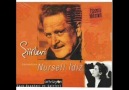 Seviyorum Seni- Nazım Hikmet   Nurseli İdiz