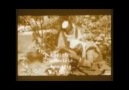 SEYDA PERİNÇEK--YAREE