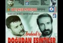 Seyfi Doğanay & Viran Ettiler