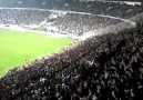 SEYIRCI DEGIL TARAFTAR BESIKTAS ASKI