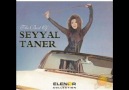 Seyyal Taner - Son Verdim Kalbimin İşine