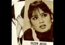 Sezen Aksu - Erkek Güzeli