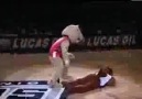 Shawn Michaels NBA Mascotuna Sweet Chin Music Yapıyor xD ..!!