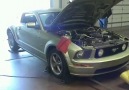 Shelby Dyno Day