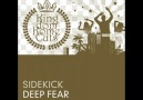 Sidekick - Deep Fear (Phobia Club Remix)
