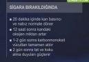 Sigarayı Bıraktıktan Sonra Değişiklikler Ne Olur?