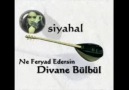 Siyahal - Ne Feryad Edersin Divane Bülbül