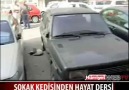 sokak kedisinden hayat dersi