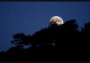 Spyros Koliavasilis - Far Away Moon