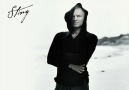 Sting - Shape Of My Heart [HQ]