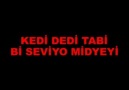 Stromae - Alors On Dance (TÜRKÇE ALT YAZI :Xdp )