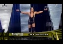 Survivor Series 2010-Higlights