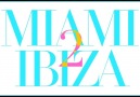 Swedish House Mafia - Miami 2 Ibiza [Instrumental] [HQ]