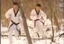 Taekwondo Speed