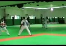 Taekwondo trainer