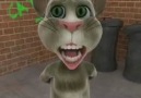 Talking Tom