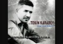 Tekin KARABEY - Bu Bir İsyandır