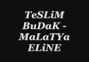 TESLIM BUDAK MALATYA ELINDE