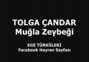 Tolga Çandar - Muğla Zeybeği [HQ]