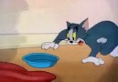 Tom ve Jerry – İki Kurnaz