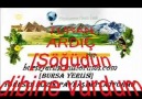 TURAN ARDIÇ [Söğüdün dibine vurdum koyunu]